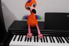 Muzikoterapija5