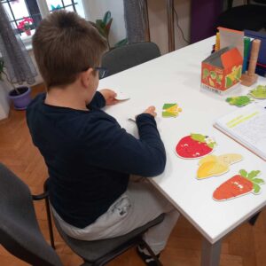 Psihosocijalna podrška Centar Lug